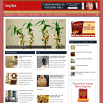 Feng Shui Website