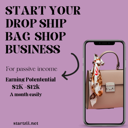Start Your Own Dropship Bag Shop Business